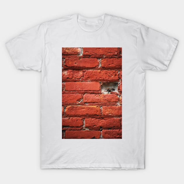 Absence T-Shirt by LaurieMinor